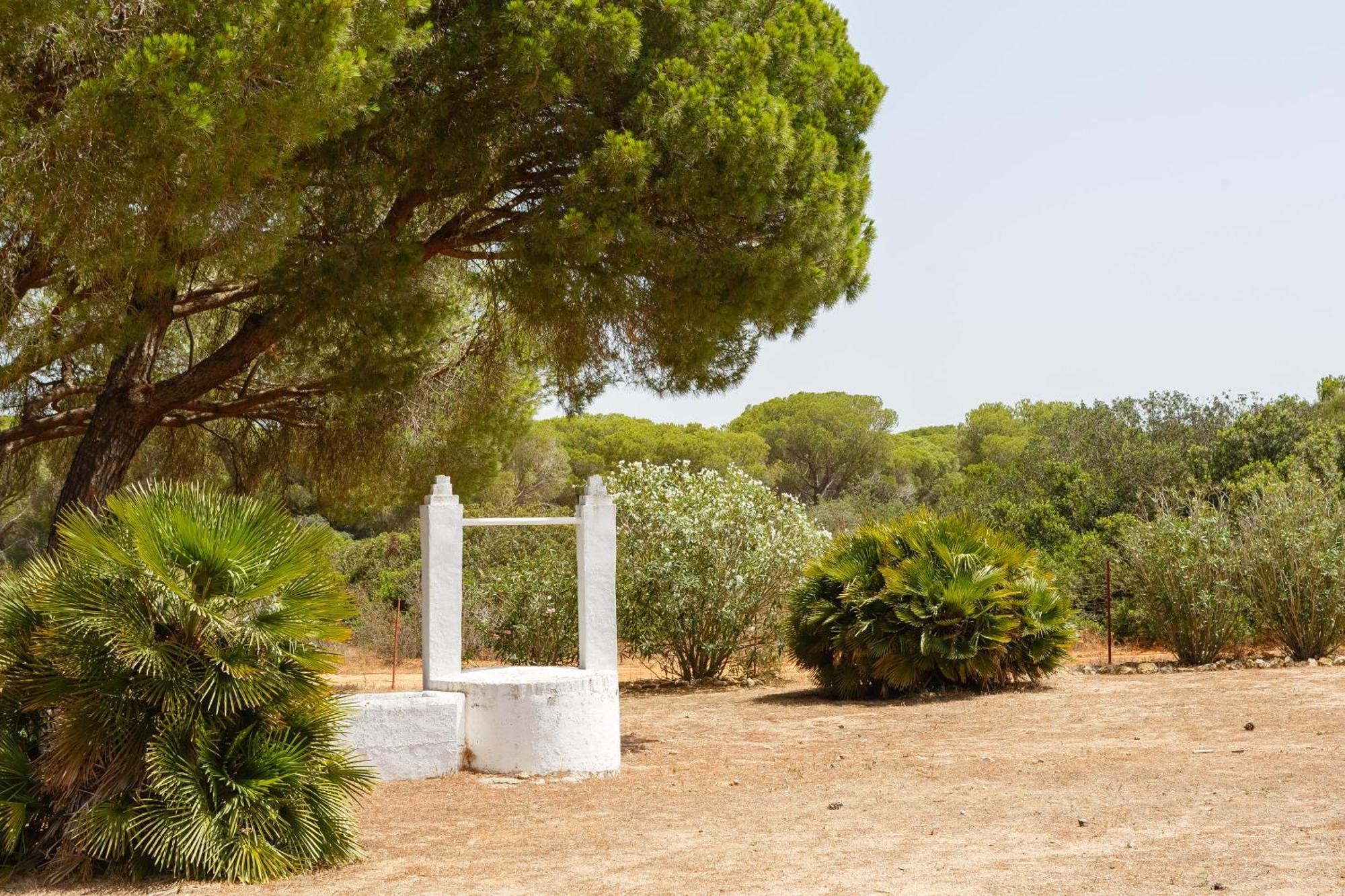 Casa Rural Con Piscina Cerca Cadiz Y Playas Dış mekan fotoğraf