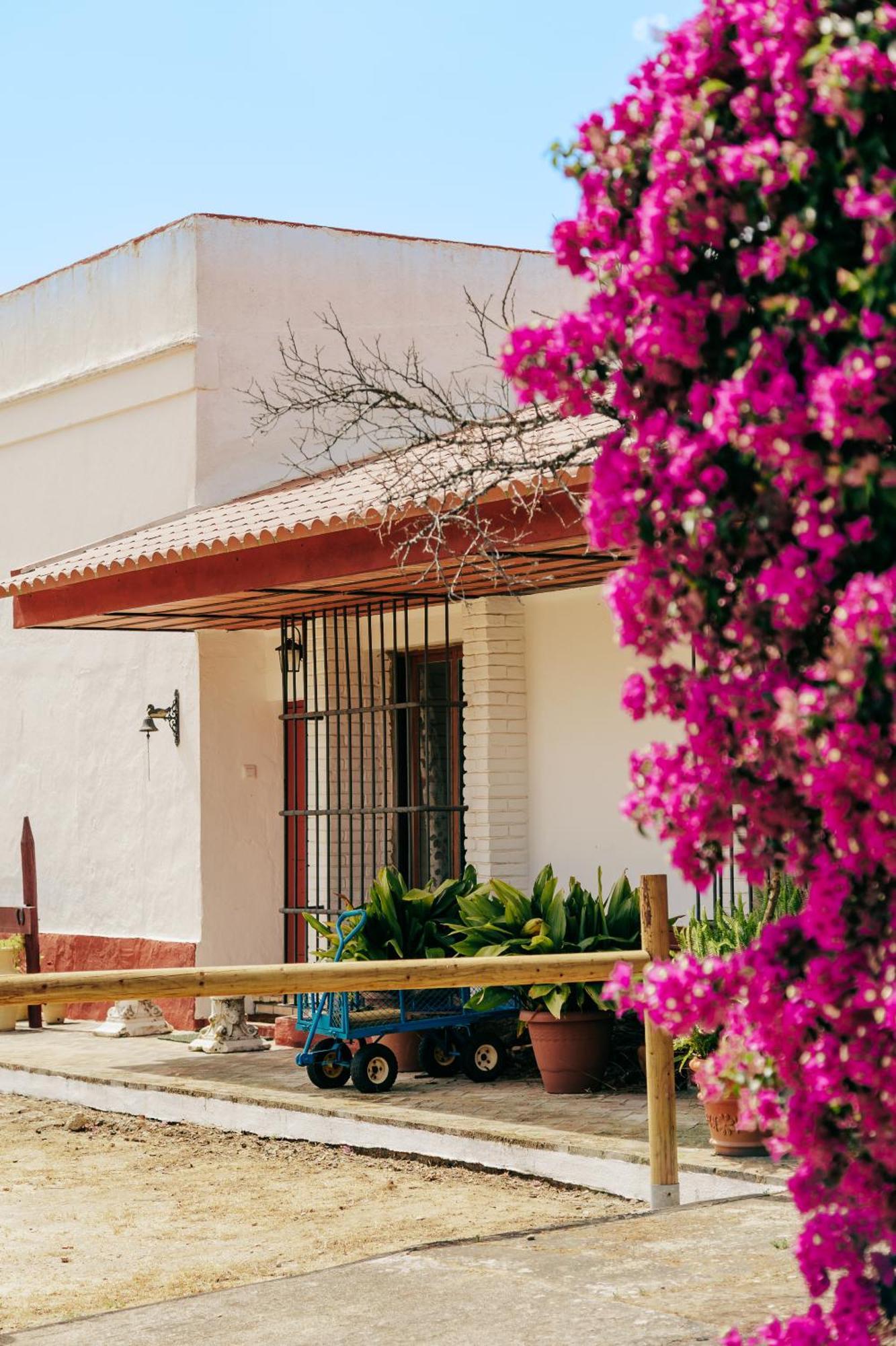 Casa Rural Con Piscina Cerca Cadiz Y Playas Dış mekan fotoğraf