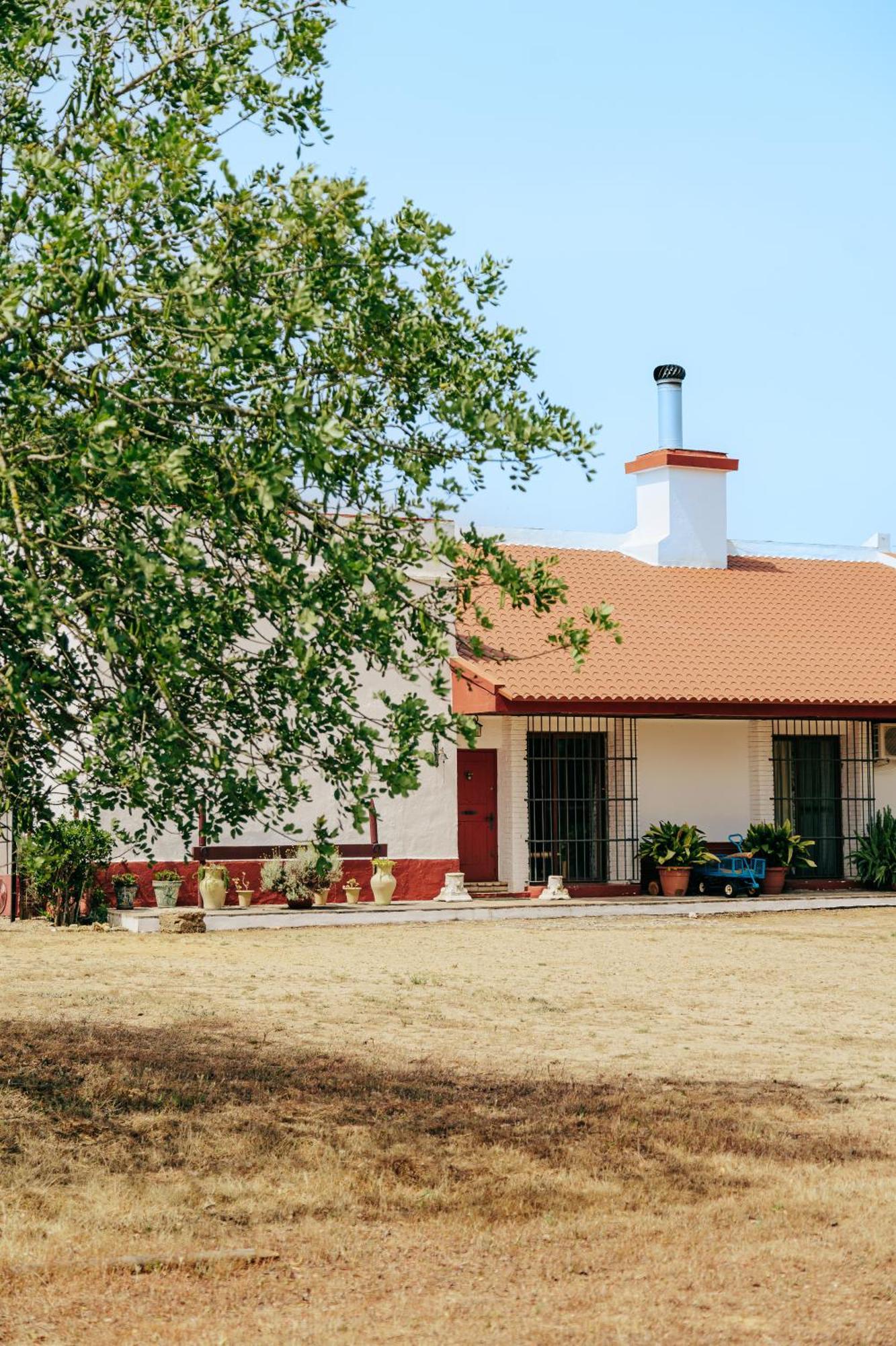 Casa Rural Con Piscina Cerca Cadiz Y Playas Dış mekan fotoğraf